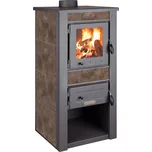 Pro-Termo Alpina Boiler 30 kW