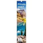 Vikpap group Nástěnný kalendář 10 x 45…