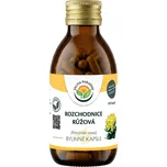 Salvia Paradise Rozchodnice růžová -…