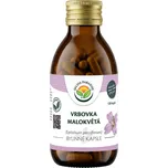 Salvia Paradise Vrbovka malokvětá kapsle