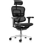 Antares Ergohuman Mesh 2 černá