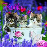 SPEKTRUM GRAFIK Nástěnný kalendář Kočky…