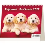 Helma365 MiniMax SM13-27 Pejskové 2027