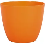 Nohel Garden Patricie 11 cm