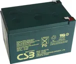 Baterie CSB EVX12120 F2, 12Ah, 12V