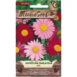 Moravo seed Tanacetum coc kopretina…