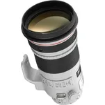 Canon EF 300 mm f/2.8 L IS II USM