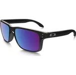 Oakley Holbrook polished black