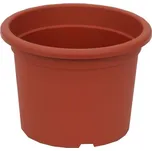 Plastia Narcis 40 cm