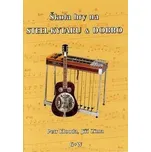Škola hry na steel-kytaru a dobro -…