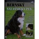 Bernský salašnický pes - Louise…