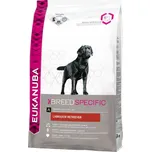 Eukanuba Labrador Retriever