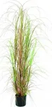 Trs okrasné trávy v květináči, 150cm