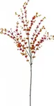 Eukalypt větvička, oranžová, 110cm