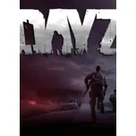 DayZ PC CD klíč