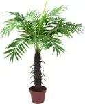 Kokosová palma, 12 listů, 90cm