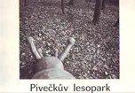Pivečkův lesopark: Veronika Zapletalová