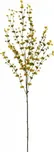 Eukalypt větvička, zeleno-žlutá, 110cm