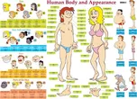 Karta - Human Body and Appearance - AJ