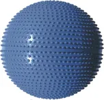 Gymnastický míč - fialová - 65cm