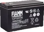 Baterie Fiamm 12 FGH 36