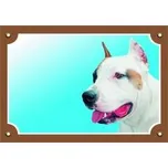 Dafiko Pozor pes! Tady hlídám já!