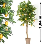 Umělá květina - Citron strom 184 cm