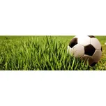 DIMEX fototapeta do kuchyně Soccer ball