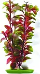 Rostlina Red Ludwigia 30 cm 1 ks