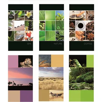 Fotoalbum Gedeon FOTOALBUM 10x15/96foto PP-4696 MIX