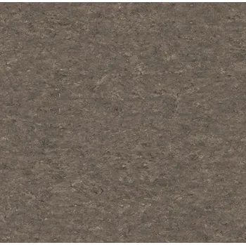 pvc podlaha Tarkett Linoleum Veneto XF2 2,0 mm 14871 608 (Tarkett), šíře 200 cm