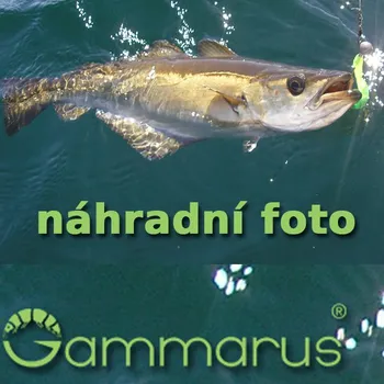 PVA ESP PVA SÁČKY SOCK BAG (PVA SÁČKY SOCK BAG)