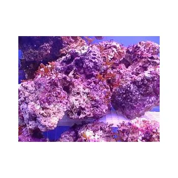 Akvarijní chemie Živý kámen 1kg