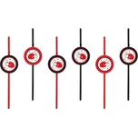 Partydeco Brčka s obrázkem 24 cm 6 ks