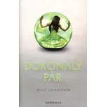 Dokonalý pár - Ally Condieová