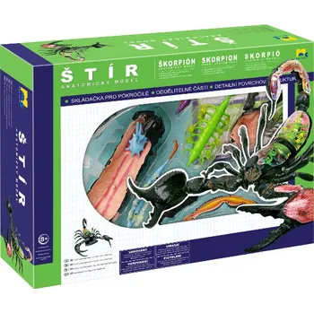 Dětská vědecká sada Mac Toys Anatomický model - Škorpión