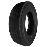 Double Star DSR116 295/60 R22,5 149 L