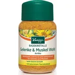 Kneipp sůl do koupele 60 g