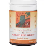 TCM Herbs Posílení říše středu 100 tbl.