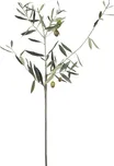 Lene Bjerre Flora olivová větvička