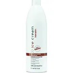 Inebrya Restructuring shampoo with…