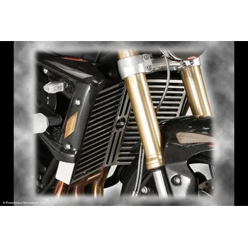 Triumph Street Triple 08-12, Street Triple R Kryt chladiče