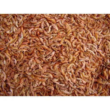 Krmivo pro terarijní zvíře GAMMARUS sáček 1kg