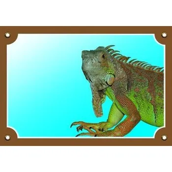 Značení Barevná cedulka Tady bydlím já! Leguán VÝPRODEJ