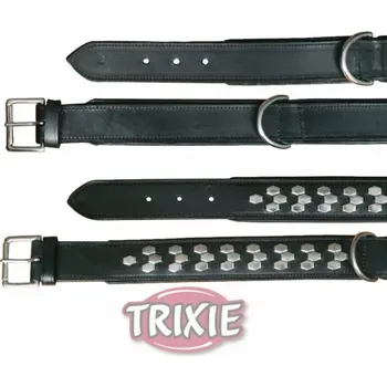 Obojek pro psa Obojek ACTIVE kožený (L) 48-55 cm / 40 mm