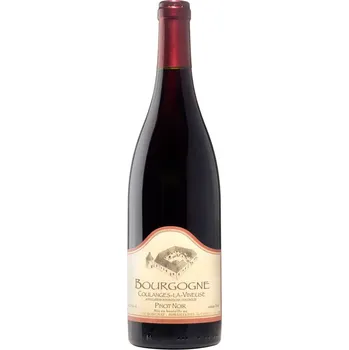 Víno Akce ihned Domaine Borgnat Pinot Noir AOC 0,75 L suché francouzské červené víno z Bourgogne
