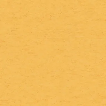 pvc podlaha Tarkett Linoleum Veneto XF2 2,5 mm 14872 612 (Tarkett), šíře 200 cm