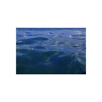 Voda Mořská nasolená voda 1l