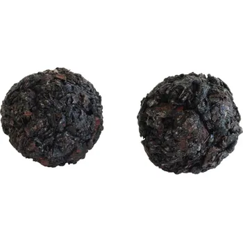 Copal vykuřovadlo (Copal vykuřovadlo)