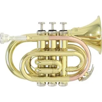 Trubka Roy Benson PT-101 – kapesní Bb trumpeta, 11,7 mm, mosaz, lak, s pouzdrem